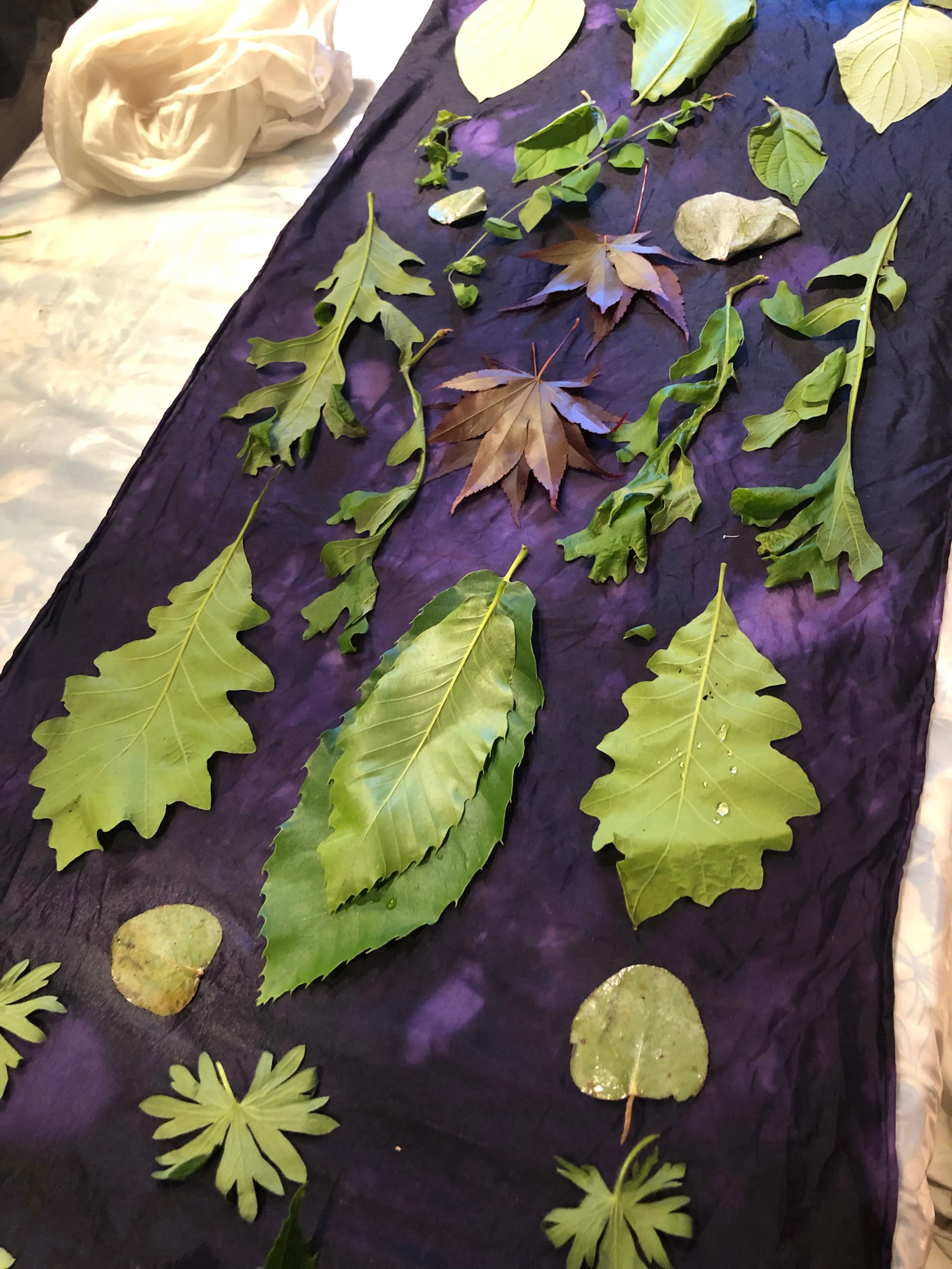 Discover the art of Eco-Printing; Nature's Palette" WORKSHOP