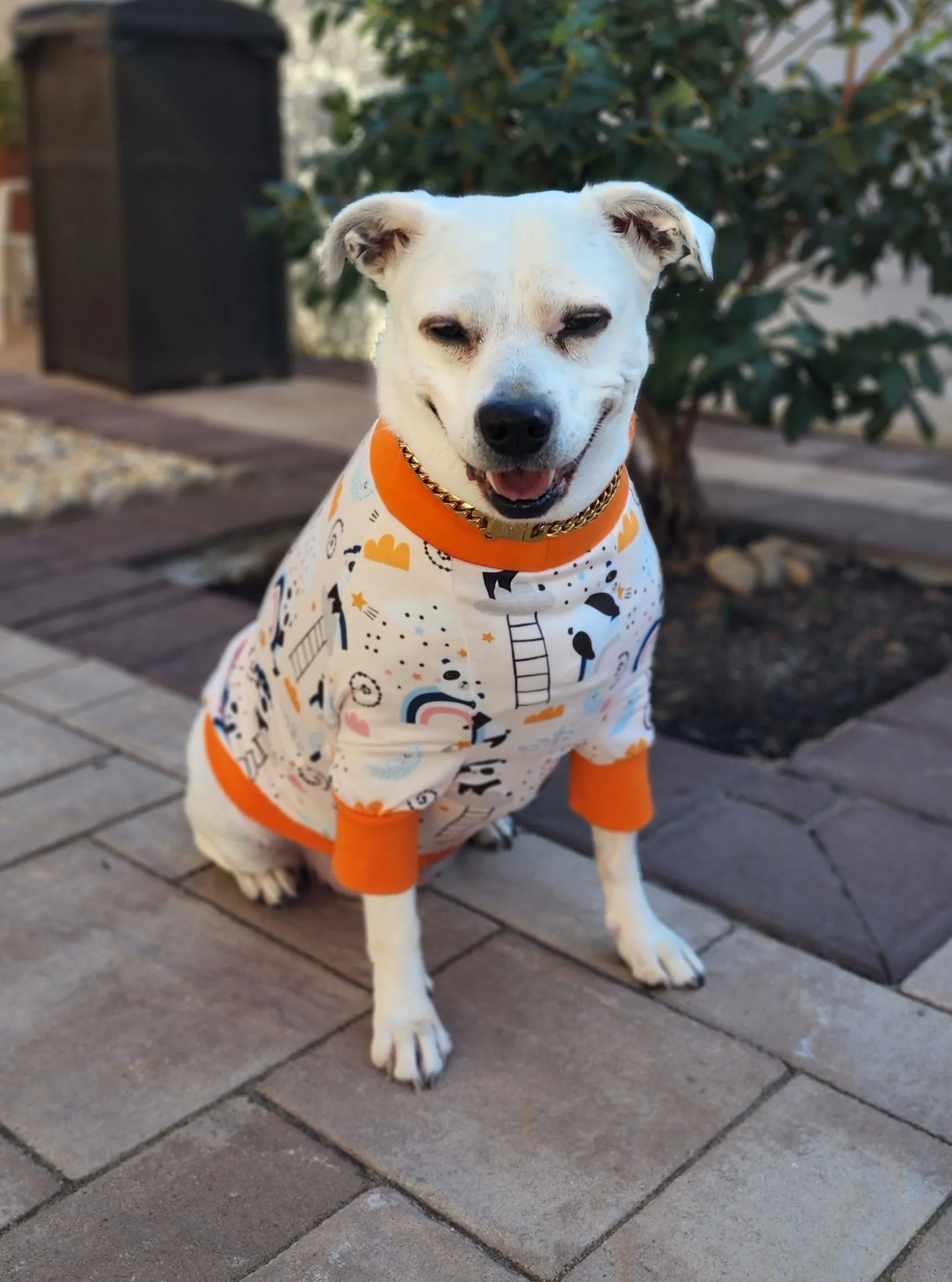 Dreamy Panda Dog Pajamas